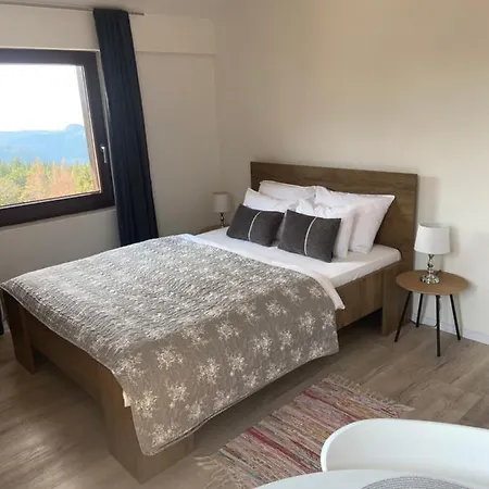 Montana Lägenhetshotell *