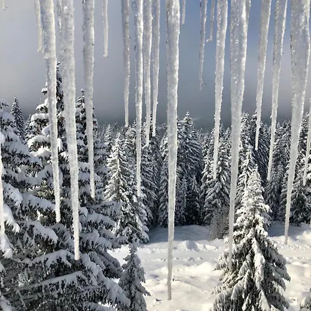 Montana *