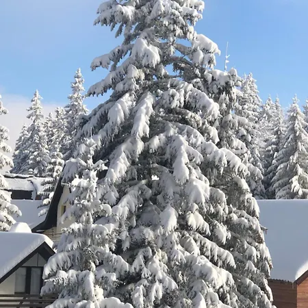 Montana