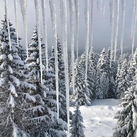 Montana Lägenhetshotell
