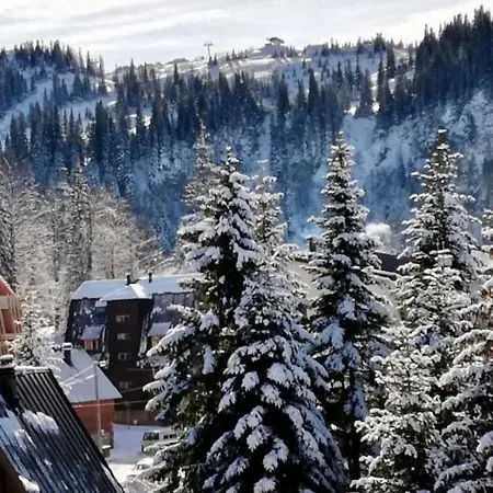 Montana Jahorina